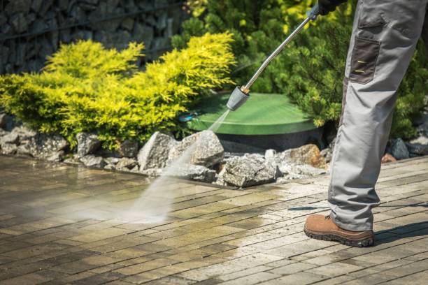 Best Dumpster Area Cleaning  in Daytona Beach Shores, FL